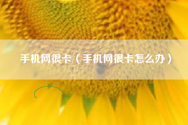 手机网很卡（手机网很卡怎么办）