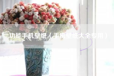 功能手机壁纸（手机壁纸大全专用）