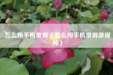 怎么用手机录屏（怎么用手机录屏录视频）