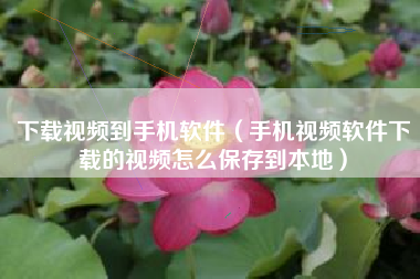 下载视频到手机软件（手机视频软件下载的视频怎么保存到本地）