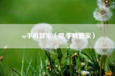 m手机管家（嗯,手机管家）