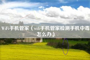 WiFi手机管家（wifi手机管家检测手机中毒怎么办）