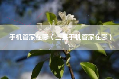 手机管家在哪（三星手机管家在哪）