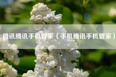 腾讯腾讯手机管家（手机腾讯手机管家）