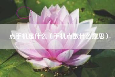 点手机是什么（手机点数什么意思）
