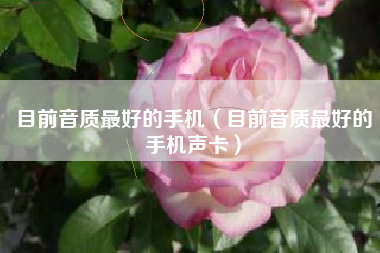 目前音质最好的手机（目前音质最好的手机声卡）