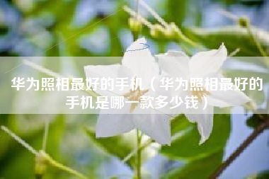 华为照相最好的手机（华为照相最好的手机是哪一款多少钱）