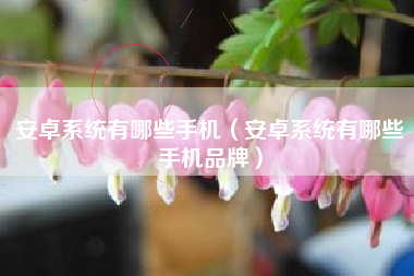 安卓系统有哪些手机（安卓系统有哪些手机品牌）