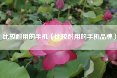 比较耐用的手机（比较耐用的手机品牌）