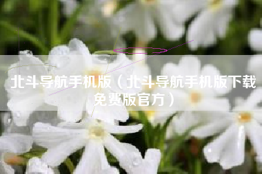 北斗导航手机版（北斗导航手机版下载免费版官方）