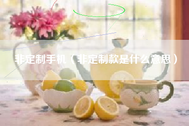 非定制手机（非定制款是什么意思）