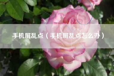 手机屏乱点（手机屏乱点怎么办）