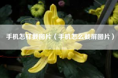 手机怎样截图片（手机怎么截屏图片）