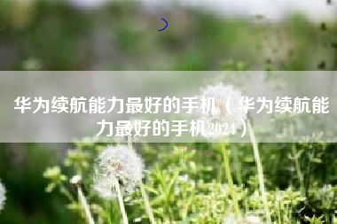 华为续航能力最好的手机（华为续航能力最好的手机2024）