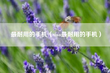 最耐用的手机（vivo最耐用的手机）