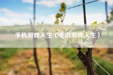手机游戏人生（手游游戏人生）