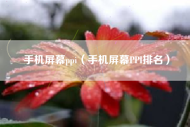 手机屏幕ppi（手机屏幕PPI排名）