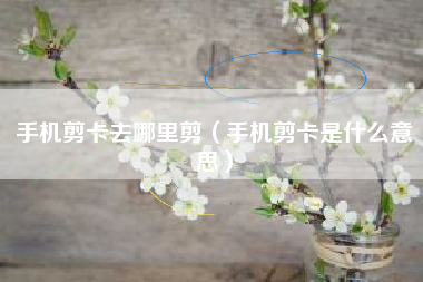 手机剪卡去哪里剪（手机剪卡是什么意思）