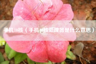 手机10核（手机10核处理器是什么意思）