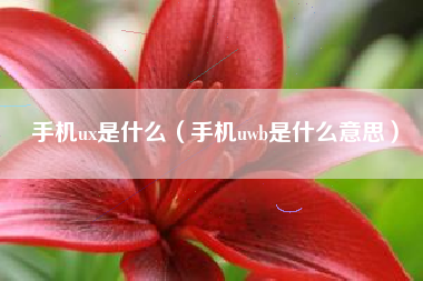 手机ux是什么（手机uwb是什么意思）