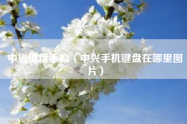 中兴键盘手机（中兴手机键盘在哪里图片）