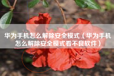 华为手机怎么解除安全模式（华为手机怎么解除安全模式看不良软件）