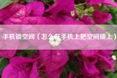 手机锁空间（怎么在手机上把空间锁上）
