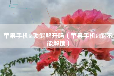 苹果手机id锁能解开吗（苹果手机id能不能解锁）