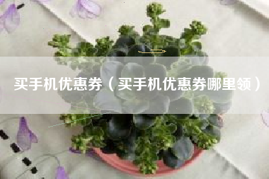 买手机优惠券（买手机优惠券哪里领）