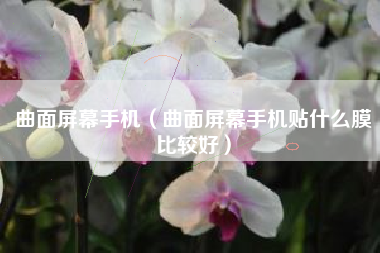 曲面屏幕手机（曲面屏幕手机贴什么膜比较好）
