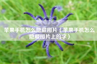 苹果手机怎么隐藏图片（苹果手机怎么隐藏图片上的字）