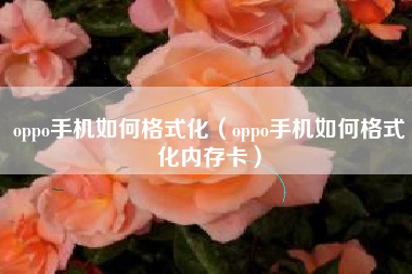 oppo手机如何格式化（oppo手机如何格式化内存卡）