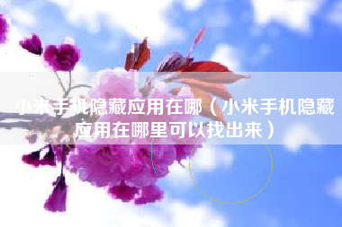 小米手机隐藏应用在哪（小米手机隐藏应用在哪里可以找出来）