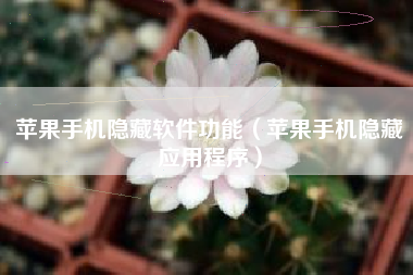 苹果手机隐藏软件功能（苹果手机隐藏应用程序）
