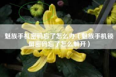 魅族手机密码忘了怎么办（魅族手机锁屏密码忘了怎么解开）