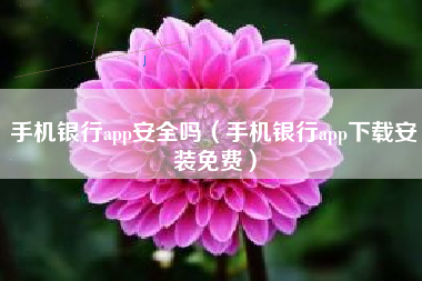 手机银行app安全吗（手机银行app下载安装免费）