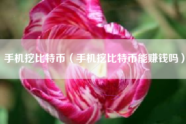 手机挖比特币（手机挖比特币能赚钱吗）