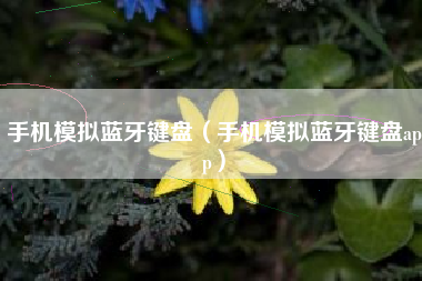 手机模拟蓝牙键盘（手机模拟蓝牙键盘app）
