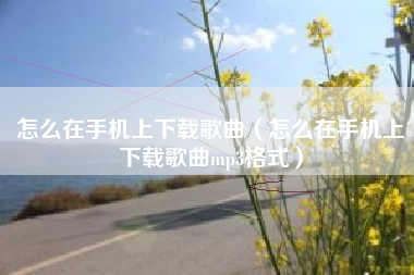 怎么在手机上下载歌曲（怎么在手机上下载歌曲mp3格式）