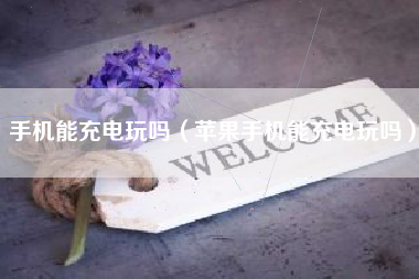手机能充电玩吗（苹果手机能充电玩吗）