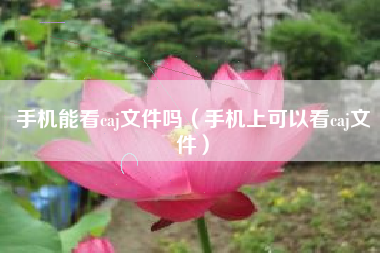 手机能看caj文件吗（手机上可以看caj文件）