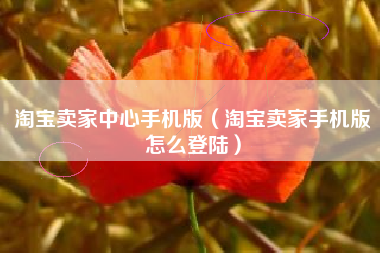 淘宝卖家中心手机版（淘宝卖家手机版怎么登陆）