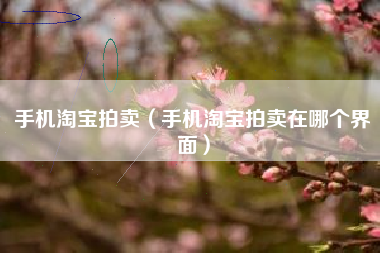 手机淘宝拍卖（手机淘宝拍卖在哪个界面）