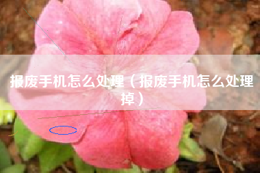 报废手机怎么处理（报废手机怎么处理掉）