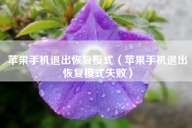 苹果手机退出恢复模式（苹果手机退出恢复模式失败）