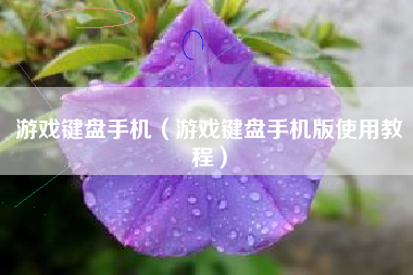 游戏键盘手机（游戏键盘手机版使用教程）