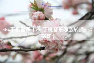vivo手机音乐（vivo手机音乐怎么转换mp3格式）