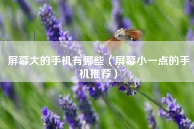 屏幕大的手机有哪些（屏幕小一点的手机推荐）