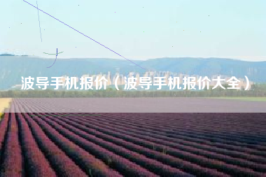 波导手机报价（波导手机报价大全）