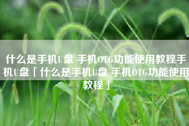 什么是手机U盘 手机OTG功能使用教程手机U盘「什么是手机U盘 手机OTG功能使用教程」